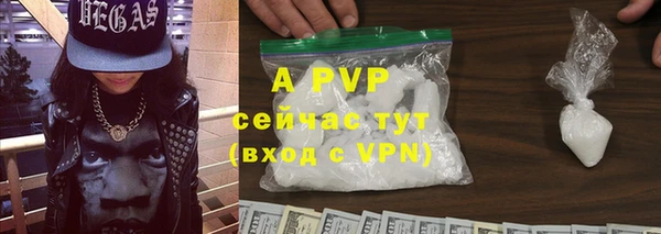 ECSTASY Михайловск