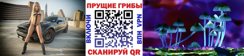 Галлюциногенные грибы GOLDEN TEACHER где продают блэк спрут зеркало Тихорецк