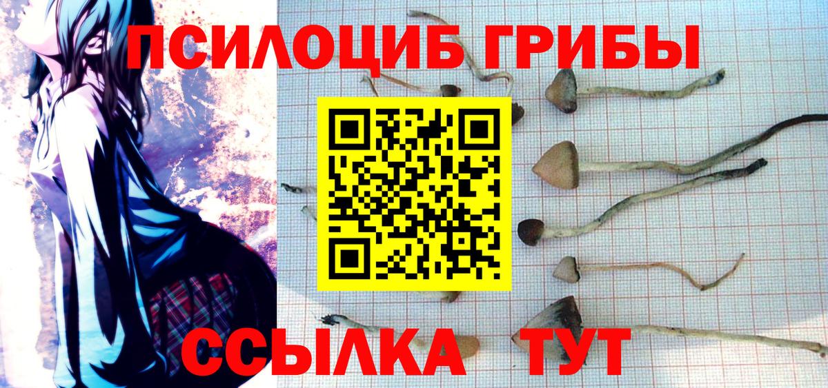 Галлюциногенные грибы GOLDEN TEACHER Тихорецк