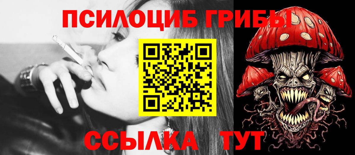 купить наркотики сайты  Вход с VPN  Тихорецк  Псилоцибиновые грибы MAGIC MUSHROOMS 
